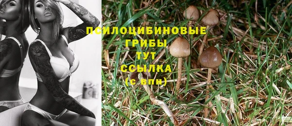 мефедрон мука Нефтекумск